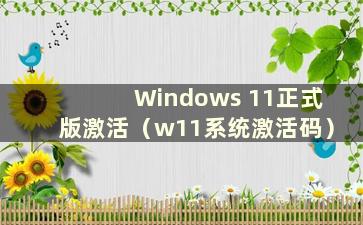 Windows 11正式版激活（w11系统激活码）